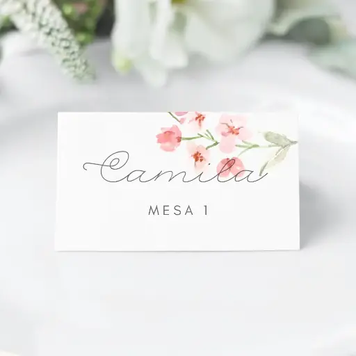 Tag nombre de sitio para quince años